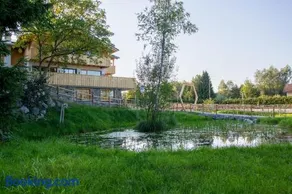 Der Bienenkorb - Image 1