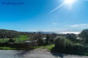 Les Tourterelles - Au Soleil Breton - Image 2