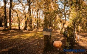 Pensión Cabañas Bosque Máxico de Bonxe - Image 4