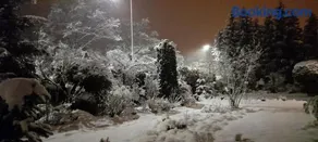 Noclegi Teodorówka - Image 2