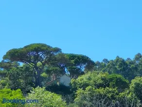 Piso Piedra Alta - Image 3
