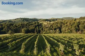 Weinquartier Pichler-Schober - Image 3