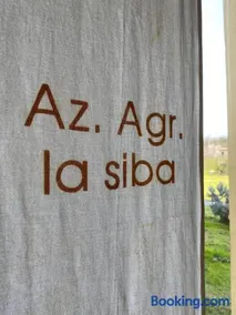 La Siba Experience - Image 2
