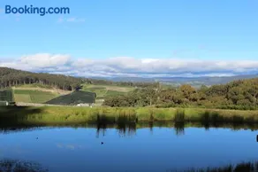 Cherryview Cygnet - Image 2