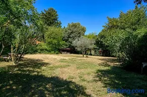 Le cigalon - Image 3