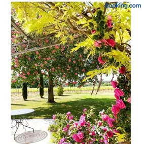 Villa avec Pool House au cœur des vignes - Lubéron - Image 2