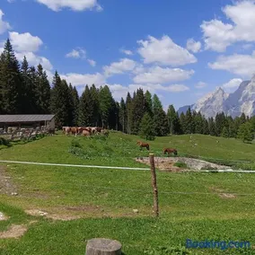 Stanza Malga Ciauta - Image 3