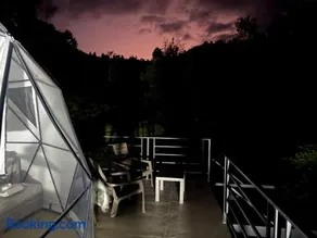 The Wolf Glamping - Image 5
