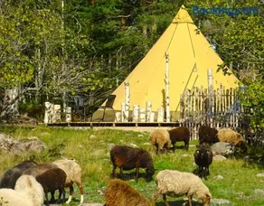 Västeräng Glamping - Image 1