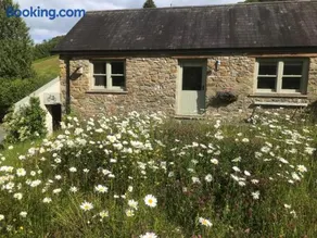 Danygraig Cottage - Image 2