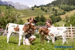 Weifer Biobauernhof - Image 3