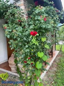 Dimora alle Vigne - Image 4