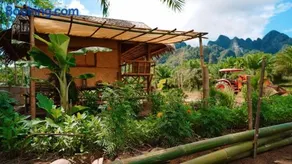 Khaosok Eco House - Image 2