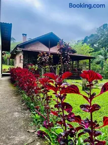 Casa do Bosque - Image 2