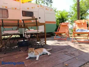 Camping Arribes del Duero - Image 3