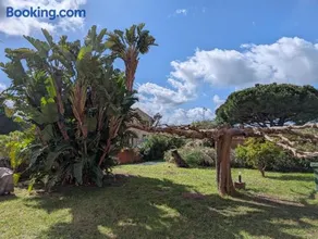 Au Châtaignier Corse - Image 3