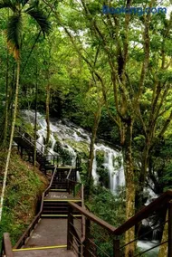 Look Tea House - Image 5