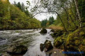 Stay Portland - Sandy Riverfront Mt Hood Cabin! 9 Queen Beds! - Image 5