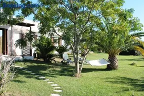 Vecchio Ulivo - Image 1