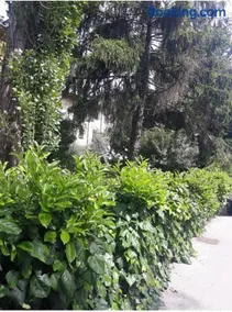 Versilia Garden Rooms - Image 5