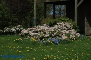 Hof Eckhorst - Image 3