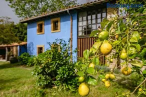 La Quintana de la Foncalada - Image 2