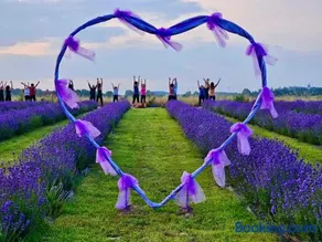 Chicche di Lavanda - Image 2
