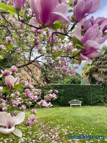 La Limonaia - Tremezzo by LoveComo - Image 1