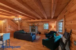 Treetops Cabin easy to Asheville with fast wifi and great view - Image 2