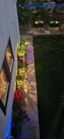 אירוח בכפר ורדים גברת פלפלת - Image 3