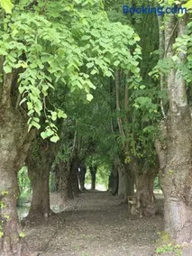 Escapade au cœur du Haras - Image 2