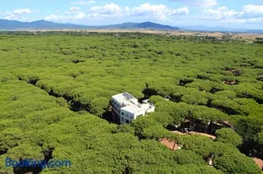 Hotel Rosmarina - Image 3