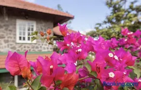 The Inner Temple Lonavala - Image 3