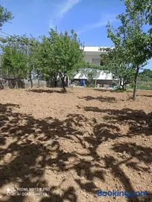 Vineyard of Valta - Image 2