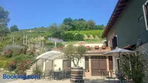 1929 Wine Food Relax Agriturismo - Image 2