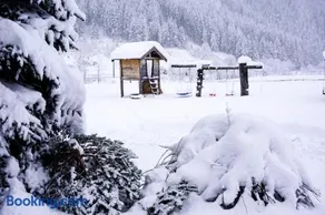 alpennest stubai - Image 3