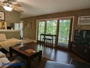 Wintergreen Resort Private One Bedroom Cozy Condo - Image 3