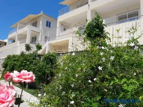 ZAGA Apartments - Image 2