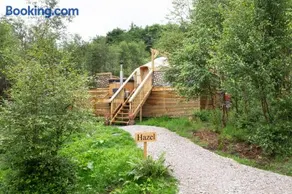 Hazel Tree Yurt - Eavestone Lake - Image 3