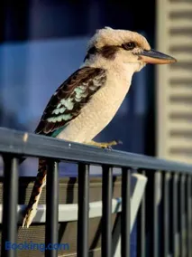 Blue Dolphin Caravan Park Yeppoon - Image 4