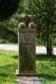 El tejo milenario - Image 2
