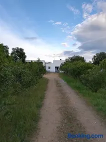 Casa do Vale da Terra Negra - Image 2