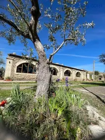 Agriturismo PETRA LUCANA - Image 2