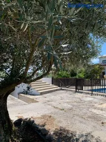 Casa da Oliveira - Image 1