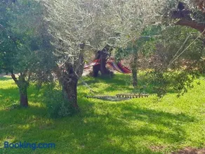 Greek village life by the sea - Image 4