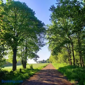 Natuurhuisje Wolterholten - Image 4