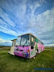 Bus Casa en observatorio de aves - Image 2