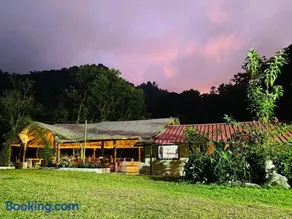 Mindo Garceta Sol - Image 3