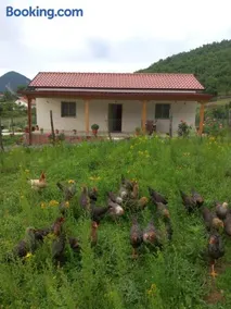 Shpija E AMEL (Sweet Guest House) - Image 1