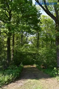 Jachthuis Au Bois Du Gheer - Image 2